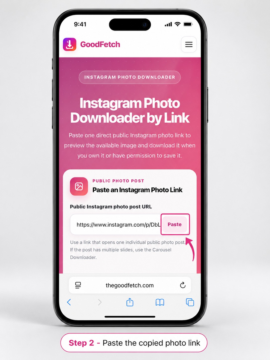 GoodFetch Instagram Photo Downloader showing a public post link pasted into the URL field